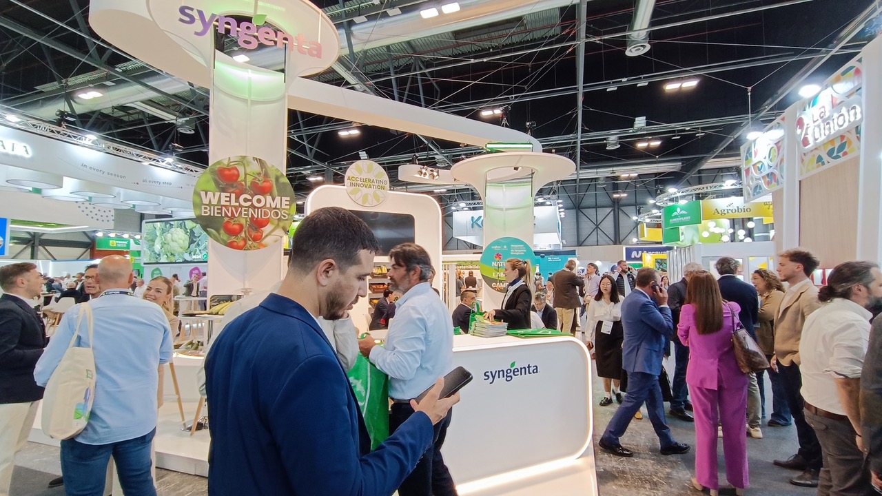 1.- STAND SYNGENTA|3.- FORO DATAGRI|2.- VARIEDAD MAIZ GLACIAL